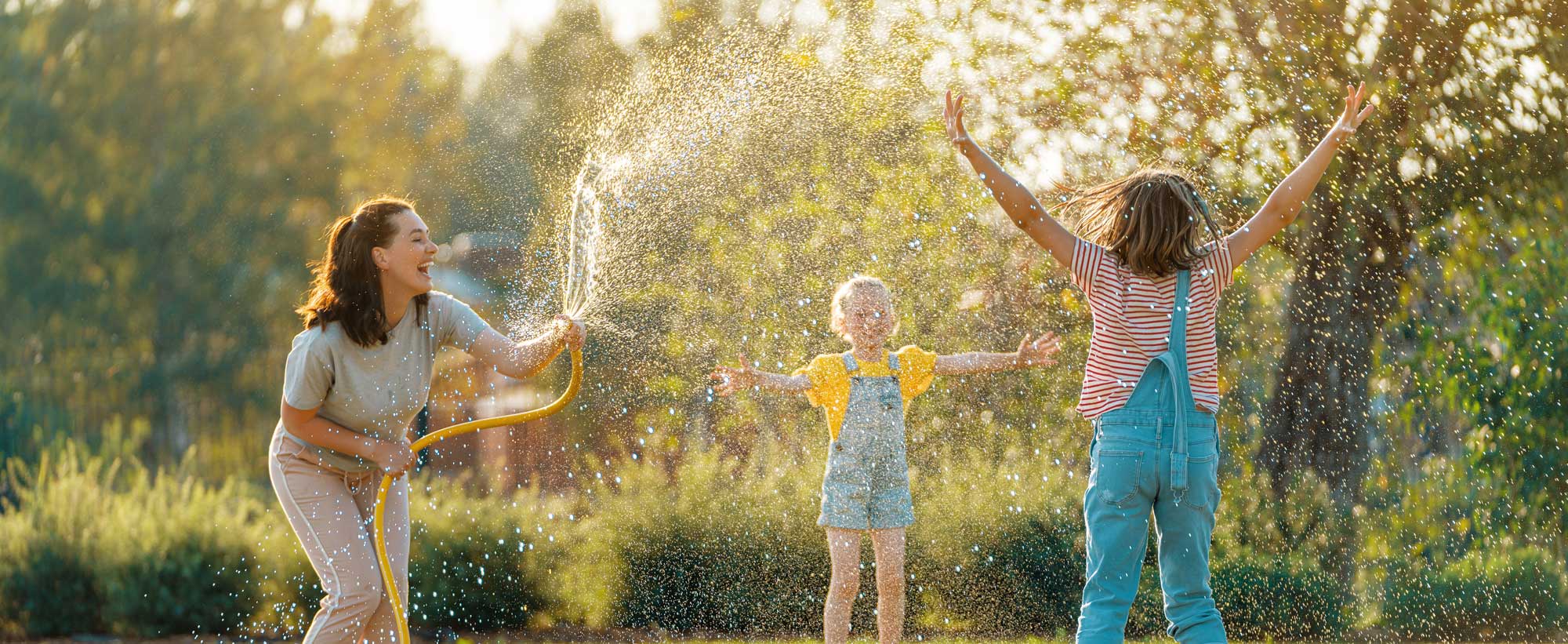Individuals and Families | Maven Group Investment Strategies