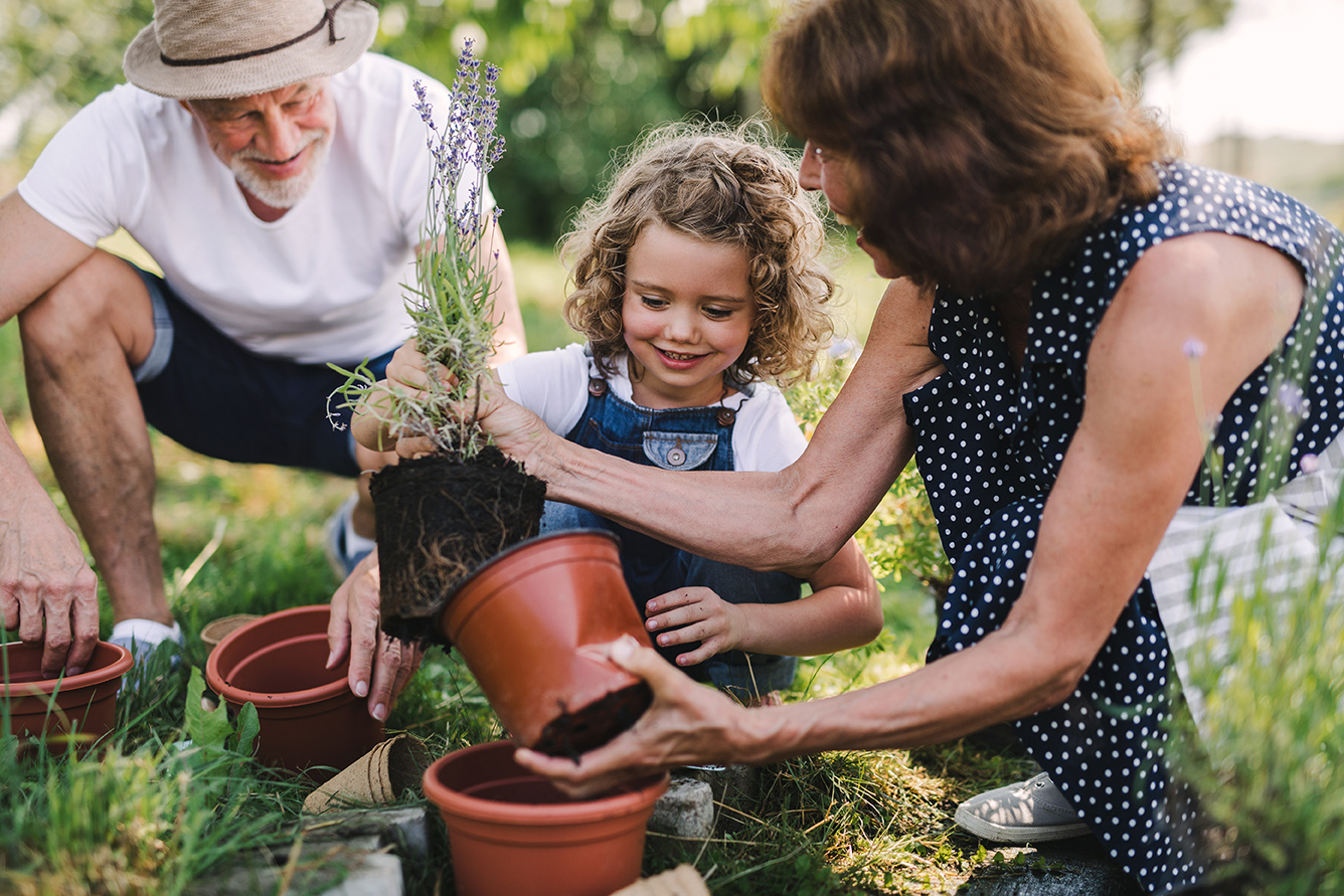 Estate Wealth Planning | Maven Group Investment Strategies