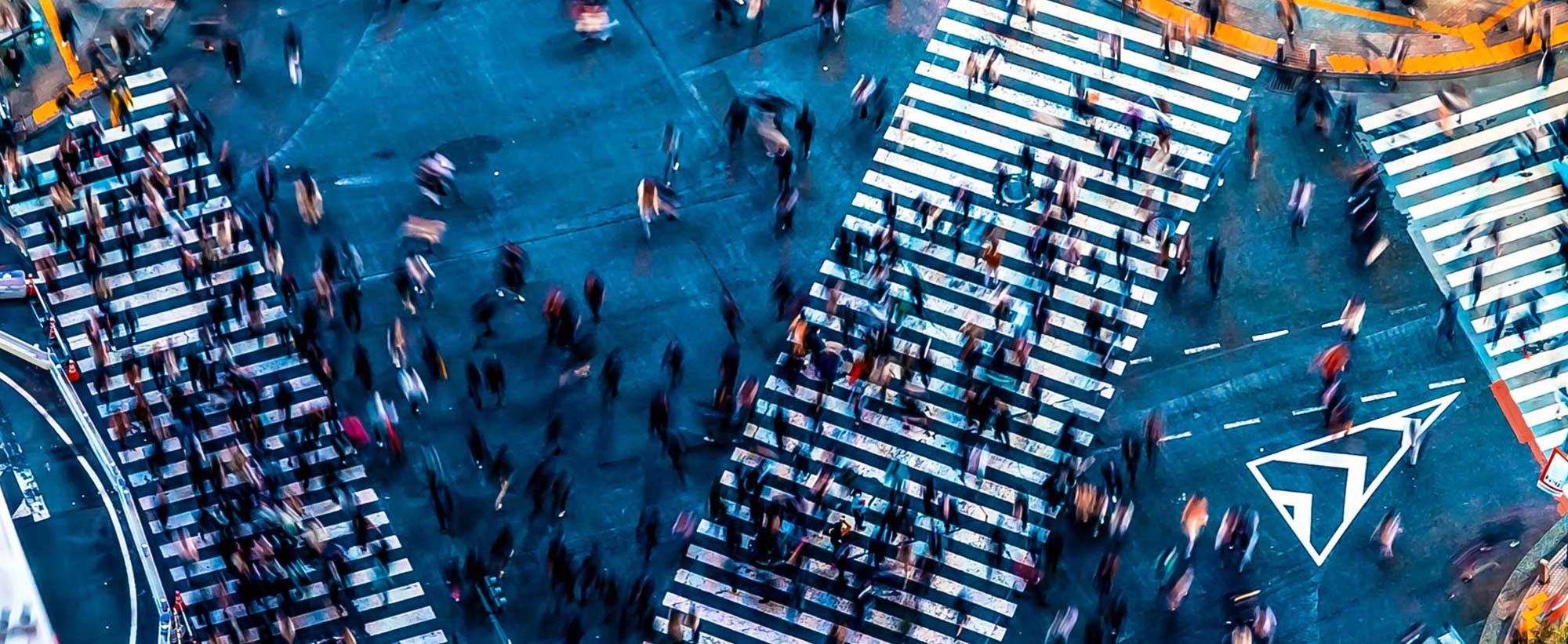 Individuals and Families | Maven Group Investment Strategies