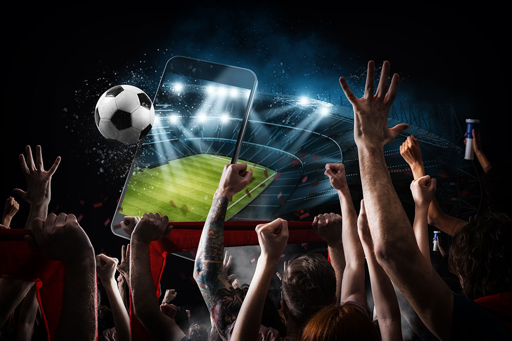 Watch a Live Sports Event | Maven Group Investment Strategies
